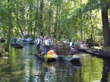Kahnkorso zum Spreewaldfest in Lehde Foto: spreewald-info.de