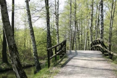 Brücke an einem Radweg im Spreewald Foto: spreewald-info.de