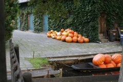 Lehde (Spreewald) im Herbst Foto: spreewald-info.de