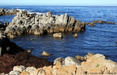 Der Highway 1 bei Monterey