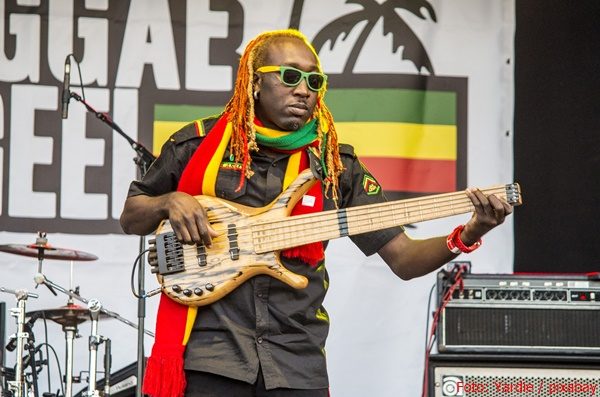 Reggae-Musiker bei einem Konzert