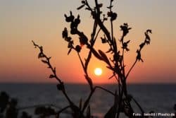 Das Ende des Sommers macht viele Menschen wehmütig